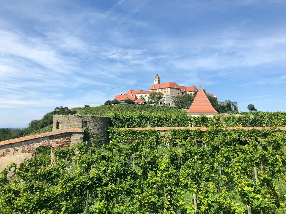 green plants near brown and white concrete house under blue sky during daytime